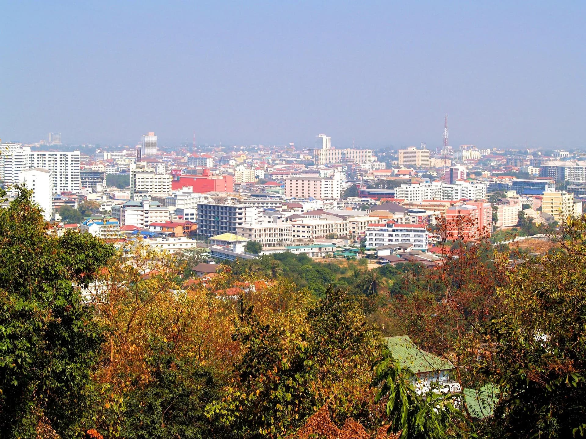 View over a city from a green hillside